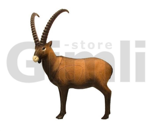 SRT Target 3D Ibex